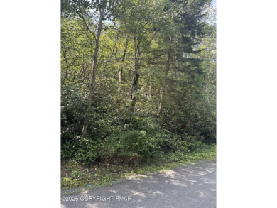 Lake Lot For Sale in Pocono Summit, Pennsylvania