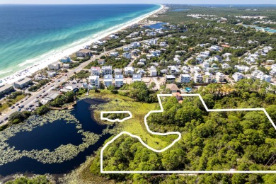 Lake Acreage For Sale in Santa Rosa Beach, Florida
