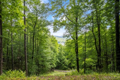 Wolf Creek Reservoir Lot For Sale in Tuckasegee North Carolina