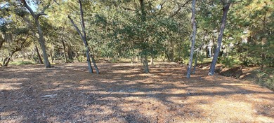 The only waterfront homesite available in Sommerset Point - photo 12