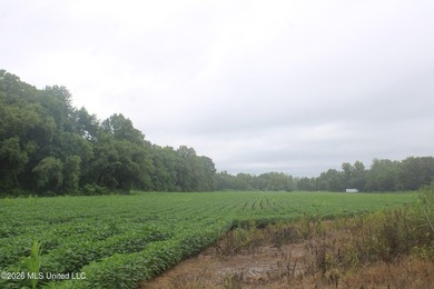 38.9 acres of vacant land located on Allen Corner Road in Benton - photo 12