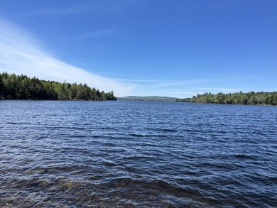 FOR SALE FOR FIRST TIME . CABIN HAS BEEN IN SAME FAMILY SINCE - photo 12