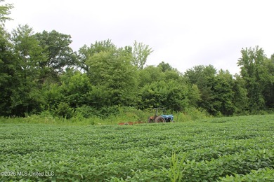 38.9 acres of vacant land located on Allen Corner Road in Benton - photo 13