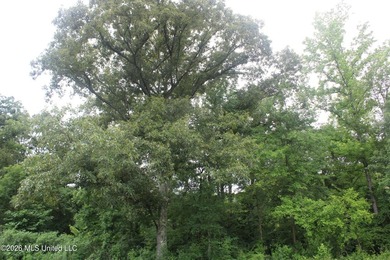38.9 acres of vacant land located on Allen Corner Road in Benton - photo 14