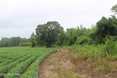 38.9 acres of vacant land located on Allen Corner Road in Benton - photo 15