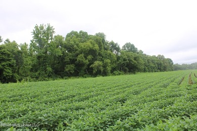38.9 acres of vacant land located on Allen Corner Road in Benton - photo 16
