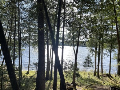 FOR SALE FOR FIRST TIME . CABIN HAS BEEN IN SAME FAMILY SINCE - photo 16