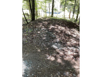 FOR SALE FOR FIRST TIME . CABIN HAS BEEN IN SAME FAMILY SINCE - photo 19