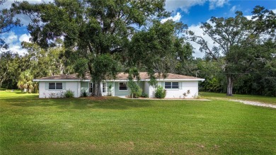 (private lake, pond, creek) Home For Sale in Wimauma Florida