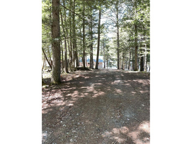 FOR SALE FOR FIRST TIME . CABIN HAS BEEN IN SAME FAMILY SINCE - photo 21