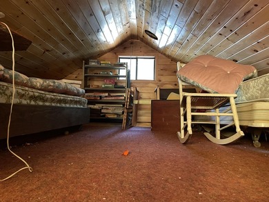 FOR SALE FOR FIRST TIME . CABIN HAS BEEN IN SAME FAMILY SINCE - photo 23