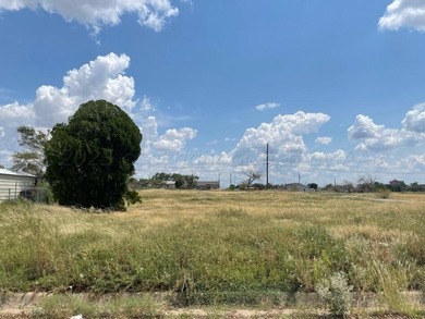 (private lake, pond, creek) Lot For Sale in Amarillo Texas
