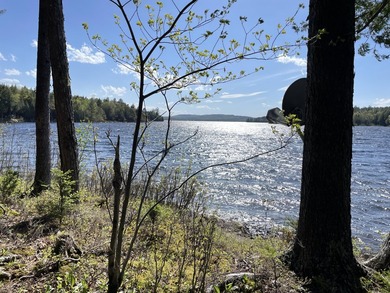 FOR SALE FOR FIRST TIME . CABIN HAS BEEN IN SAME FAMILY SINCE - photo 31