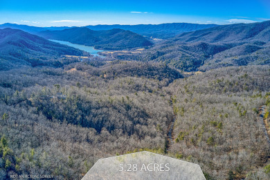 Lake Acreage For Sale in Bulter, Tennessee