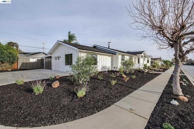 Stunning Single-Story Farmhouse-Style Home Completely Rebuilt - photo 2