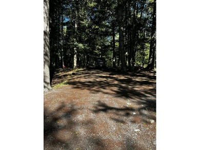 FOR SALE FOR FIRST TIME . CABIN HAS BEEN IN SAME FAMILY SINCE - photo 32