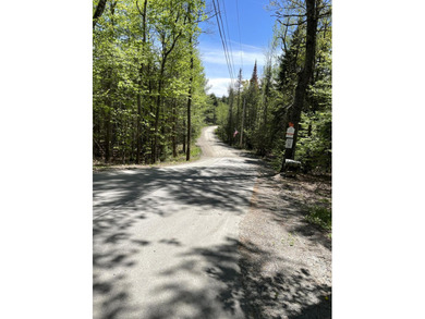 FOR SALE FOR FIRST TIME . CABIN HAS BEEN IN SAME FAMILY SINCE - photo 34
