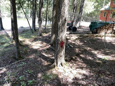 FOR SALE FOR FIRST TIME . CABIN HAS BEEN IN SAME FAMILY SINCE - photo 37