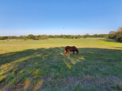 Lake Acreage For Sale in Van Alstyne, Texas