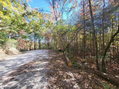 RARE OPPORTUNITY to find land adjacent to STATE OWNED property - Lake Acreage For Sale in Cleveland, South Carolina