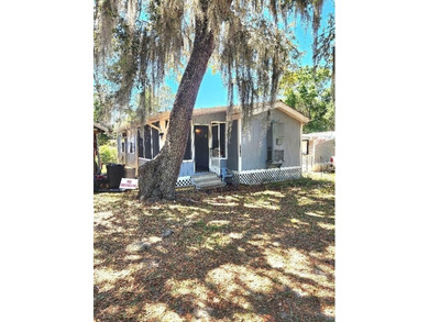 Lake Ocklawaha Home Sale Pending in Fort Mccoy Florida