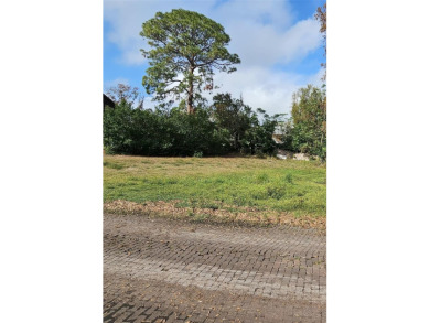 Lake Tarpon Lot For Sale in Tarpon Springs Florida