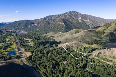 This property spans 7 acres over 3 parcels and hold deep - photo 1