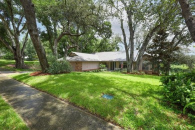 Lake Home For Sale in Orlando, Florida