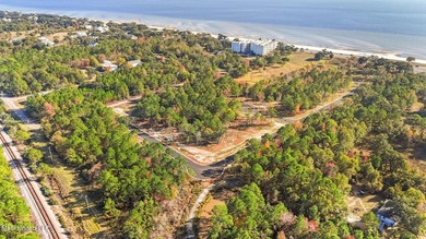 Discover an exceptional opportunity to build your custom coastal - photo 1