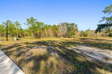 Discover an exceptional opportunity to build your custom coastal - photo 8
