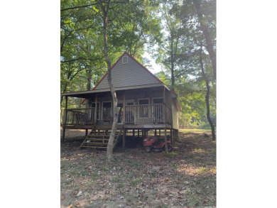 (private lake, pond, creek) Home For Sale in Pocahontas Arkansas