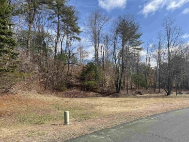 Lake Acreage For Sale in Winchester, New Hampshire