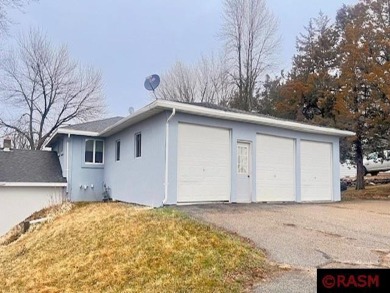 Lake Home For Sale in Madison Lake, Minnesota