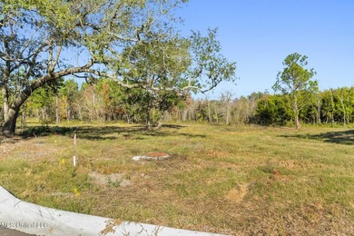 Discover an exceptional opportunity to build your custom coastal - photo 8
