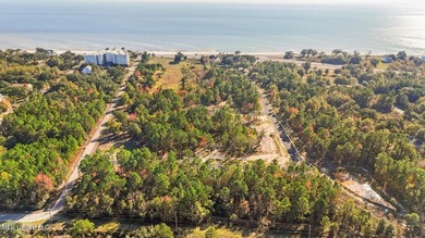 Discover an exceptional opportunity to build your custom coastal - photo 4