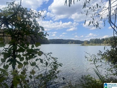 7.5 acres on the Mulberry Fork of Black Warrior River! Fisherman - photo 1