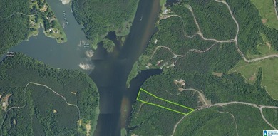 7.5 acres on the Mulberry Fork of Black Warrior River! Fisherman - photo 2
