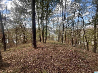 7.5 acres on the Mulberry Fork of Black Warrior River! Fisherman - photo 3