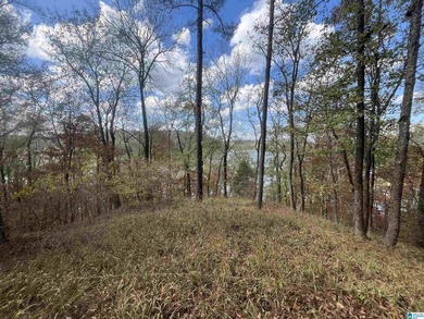 7.5 acres on the Mulberry Fork of Black Warrior River! Fisherman - photo 4