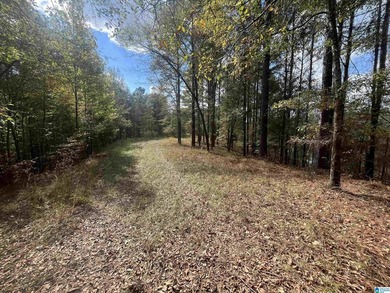 7.5 acres on the Mulberry Fork of Black Warrior River! Fisherman - photo 5