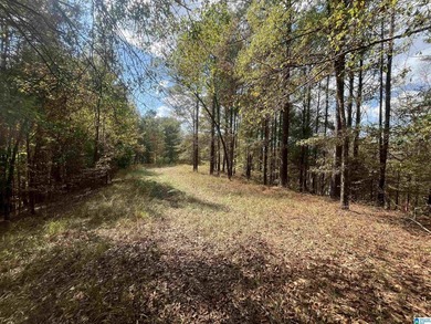 7.5 acres on the Mulberry Fork of Black Warrior River! Fisherman - photo 6