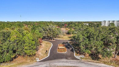 Discover an exceptional opportunity to build your custom coastal - photo 6
