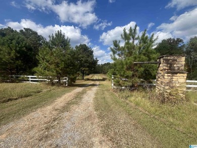 7.5 acres on the Mulberry Fork of Black Warrior River! Fisherman - photo 7