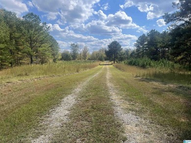 7.5 acres on the Mulberry Fork of Black Warrior River! Fisherman - photo 8