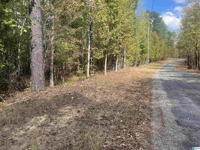 7.5 acres on the Mulberry Fork of Black Warrior River! Fisherman - photo 9