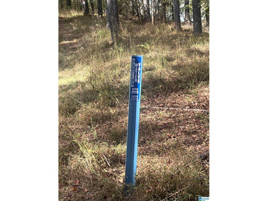 7.5 acres on the Mulberry Fork of Black Warrior River! Fisherman - photo 10