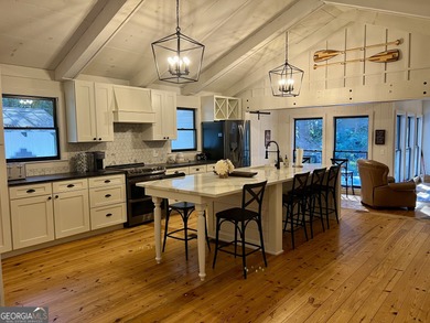 Lake Home For Sale in Ellijay, Georgia