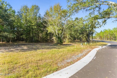 Discover an exceptional opportunity to build your custom coastal - photo 8