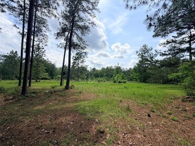 Tucked away on 7.6+ acres of unrestricted, lakefront land on - photo 26