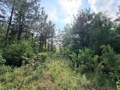 Tucked away on 7.6+ acres of unrestricted, lakefront land on - photo 38